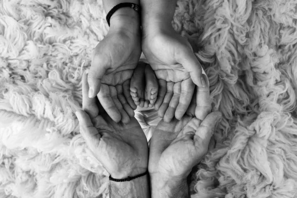 Nohy Novorozence Dlaních Rodičů Dlaně Otce Matky Drží Nohu Novorozence — Stock fotografie