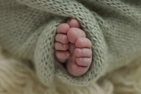 Tiny Foot Newborn Soft Feet Newborn Green Pistachio Olive Woolen — Stock Photo, Image