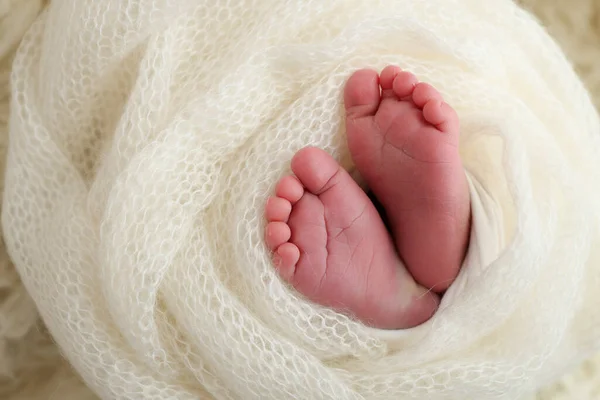Pie Pequeño Recién Nacido Pies Suaves Recién Nacido Flaccati Lana —  Fotos de Stock