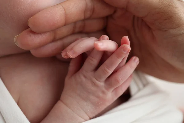 新生婴儿的小手 鼻子和耳朵都很小 亲手做的是父母 父亲和母亲的新生儿 工作室宏观摄影 — 图库照片