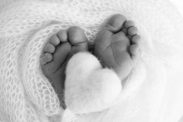 Yeni Doğmuş Bir Bebeğin Küçük Ayağı Yün Battaniyenin Içinde Yeni — Stok fotoğraf