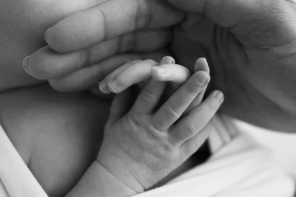 Liten Hand Ett Nyfött Barn Med Små Fingrar Huvud Näsa — Stockfoto