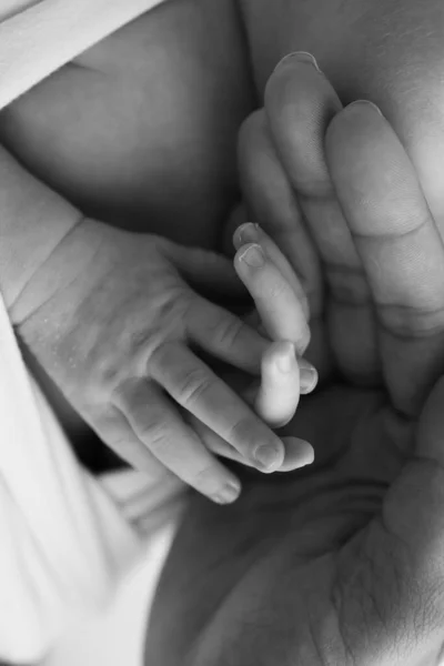 Minik Parmakları Kafası Burnu Kulağı Yeni Doğmuş Bir Bebeğin Küçük — Stok fotoğraf