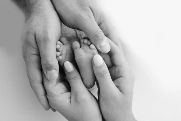Dlaně Otce Matky Drží Nohu Novorozence Bílém Pozadí Nohy Novorozence — Stock fotografie