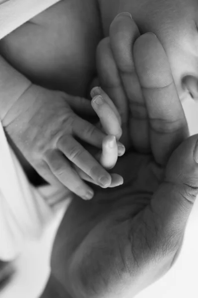 Malá Ručička Novorozence Malými Prsty Hlavou Nosem Uchem Novorozence Dlaň — Stock fotografie