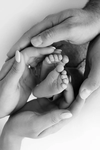 아버지의 손바닥 어머니는 배경으로 의발을 붙잡고 부모의 손바닥에 신생아의 발가락 — 스톡 사진