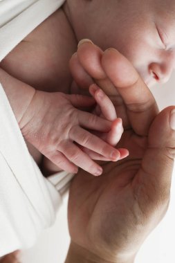 Minik parmakları, kafası, burnu ve kulağı yeni doğmuş bir bebeğin küçük elleri. Bir avuç dolusu ebeveyn, yeni doğmuş bir bebeğin annesi ve babası. Stüdyo makro fotoğrafçılık. 