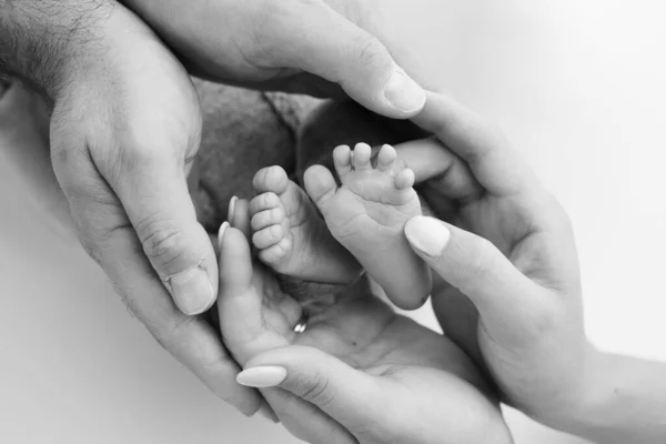 Dlaně Otce Matky Drží Nohu Novorozence Bílém Pozadí Nohy Novorozence — Stock fotografie