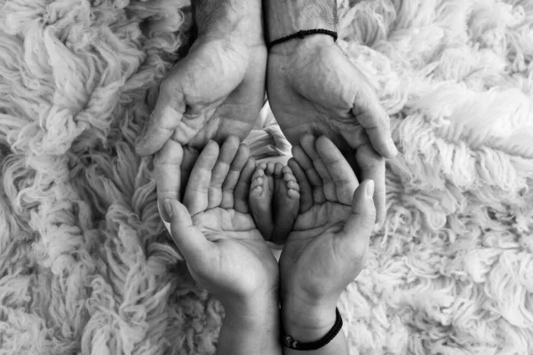 Nohy Novorozence Dlaních Rodičů Dlaně Otce Matky Drží Nohu Novorozence — Stock fotografie