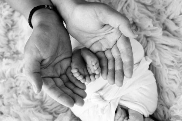 Újszülött Lába Szülők Tenyerén Apa Anya Tenyere Újszülött Lábát Tartja — Stock Fotó