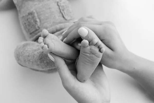 父親の手のひらは 母親が白い背景に新生児の足を保持している 両親の手のひらに新生児の足 子供のつま先 かかとと足の写真 — ストック写真