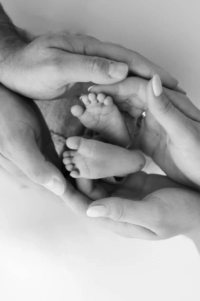 Παλάμες Του Πατέρα Μητέρα Κρατούν Πόδι Του Νεογέννητου Μωρού Λευκό — Φωτογραφία Αρχείου