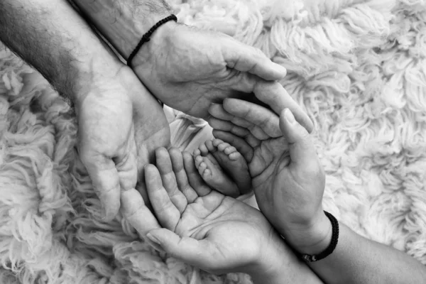 両親の手のひらに新生児の足 父親と母親の手のひらは フラッカティで新生児の足を握っています 子供のつま先 かかとと足の黒と白の写真 — ストック写真