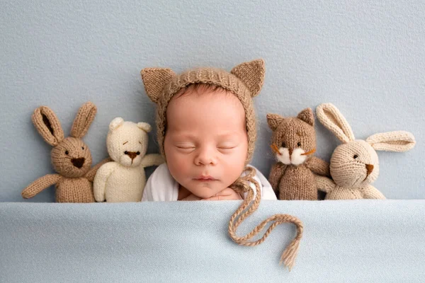 A cute newborn boy in the first days of life sleeps in a brown hat with cat ears. On a blue background with a blue blanket. With a toy brown kitten, a bunny and a light gray toy bunny and teddy bear