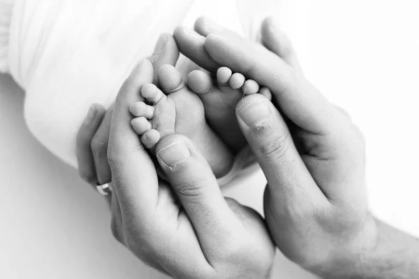 Παλάμες Του Πατέρα Μητέρα Κρατούν Πόδι Του Νεογέννητου Μωρού Λευκό — Φωτογραφία Αρχείου