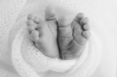 Close-up of tiny, cute, bare toes, heels and feet of a newborn girl, boy. Baby foot on soft coverlet, blanket. Detail of a newborn baby legs Macro horizontal professional studio black and white photo