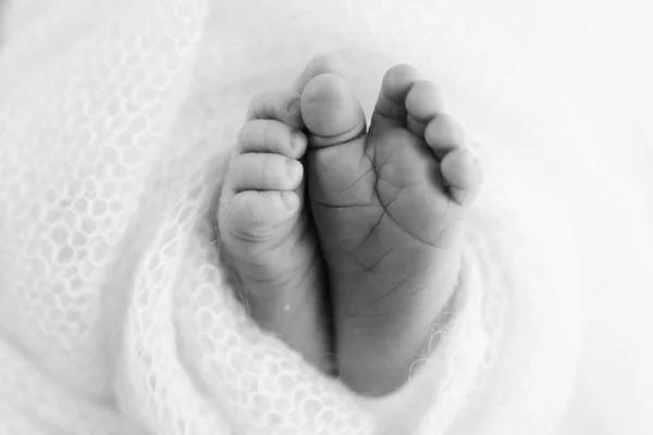 Close Tiny Cute Bare Toes Heels Feet Newborn Girl Boy — Stockfoto
