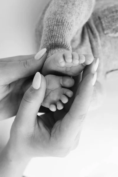 Palmen Van Vader Moeder Houdt Voet Van Pasgeboren Baby Witte — Stockfoto