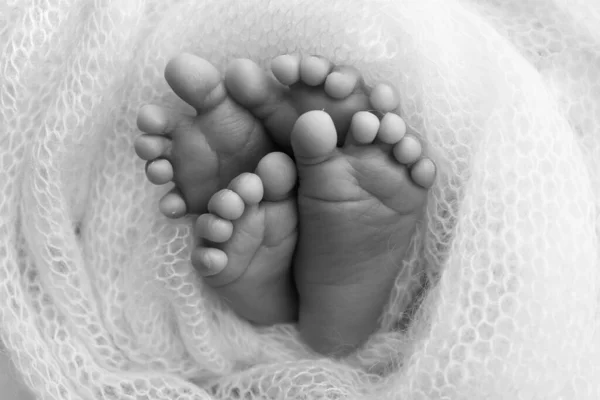 つま先 そして新生児の双子のヒール 編まれた毛布に包まれました スタジオ マクロ写真 クローズアップ 黒と白の写真 二人の新生児 — ストック写真