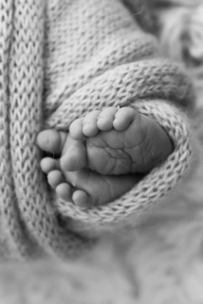 Egy Újszülött Pici Lába Egy Gyapjútakaróban Született Újszülött Lágy Lábai — Stock Fotó