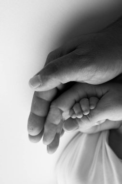 Mutlu bir ailenin üç avuç içi. Minik parmakları olan yeni doğmuş küçük bir el. Ebeveynlerin avuç içi, anne ve baba yeni doğmuş bir bebeğin sapını tutuyor. Stüdyo makro çekimi, siyah beyaz fotoğraf. 