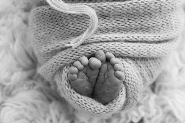 Egy Újszülött Pici Lába Egy Gyapjútakaróban Született Újszülött Lágy Lábai — Stock Fotó