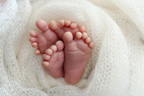 Legs Toes Feet Heels Newborn Twins Wrapped Knitted White Blanket — Stock Photo, Image