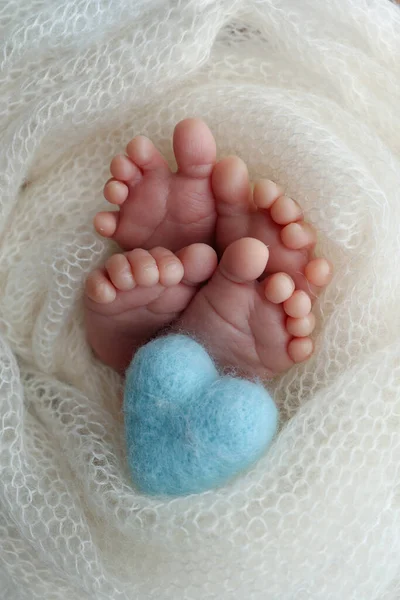 Legs Toes Feet Heels Newborn Twins Wrapped White Knitted Blanket — Stock Photo, Image