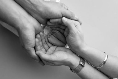 Baba 'nın avuç içi, anne yeni doğan bebeğin ayağını tutuyor. Yeni doğan bebeğin ayakları, ebeveynlerin avuçlarında. Bir çocuğun ayak parmaklarının, topuklarının ve ayaklarının fotoğrafı. Siyah ve beyaz makro. 