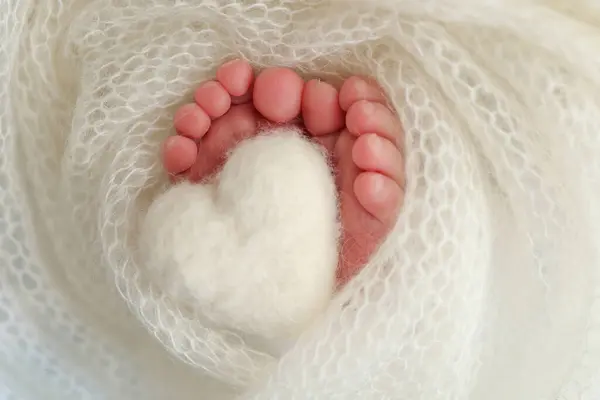 Den Lilla Foten Ett Nyfött Barn Mjuka Fötter Från Nyfödd — Stockfoto