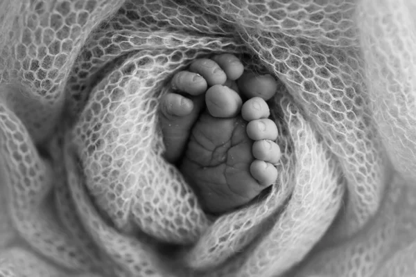 태어난 아기의 담요에서 태어난 새로운 부드러운 발가락 뒤꿈치와 신생아의 닫습니다 — 스톡 사진