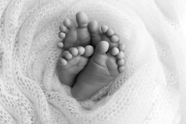 Legs, toes, feet and heels of newborn twins. Wrapped in a knitted blanket. Studio macro photography, close-up. Black and white photographs. Two newborns.