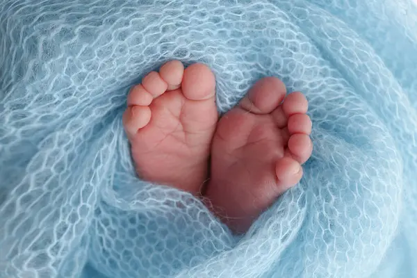 Close-up of tiny, cute, bare toes, heels and feet of a newborn girl, boy. Baby foot on blue soft coverlet, blanket. Detail of a newborn baby legs. Macro horizontal professional studio photo.