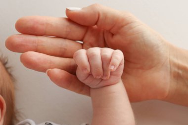 Ebeveynler yeni doğmuş bir bebeğin parmaklarını tutuyor. Bir anne ve babanın eli yeni doğmuş bir bebeğin yumruğunu tutuyor. Aile sağlığı ve sağlık hizmetleri. Beyaz arkaplanda profesyonel fotoğraf. 