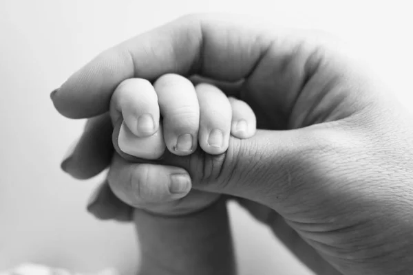 Ouders Handen Houden Vingers Van Een Pasgeboren Baby Hand Van Rechtenvrije Stockfoto's