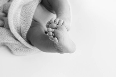 Yeni doğmuş bir bebeğin küçük ayağı. Yün battaniyenin içinde yeni doğmuş bir bebeğin yumuşak ayakları. Ayak parmakları, topuklar ve yeni doğmuş bir bebeğin ayakları. Makro fotoğrafçılık. Siyah ve beyaz 