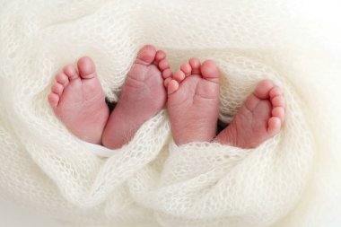 Yeni doğan ikizlerin bacakları, ayak parmakları ve topukları. Örülmüş beyaz bir battaniyeye sarılmış. Yeni doğan ikizlerin bacaklarının makro fotoğraf stüdyosu, yakın plan. İki yeni doğan.