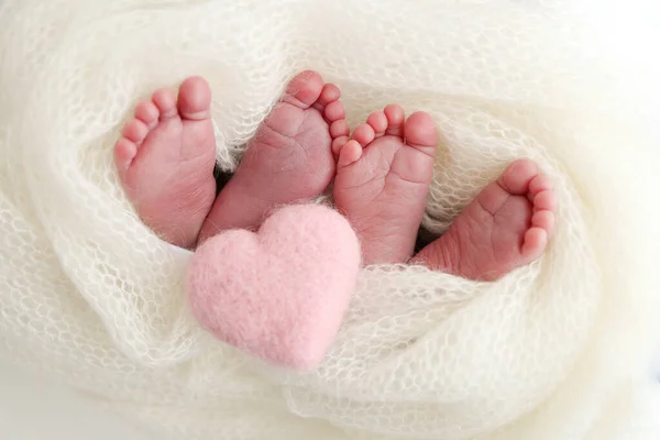 Feet Newborn Twins Two Pairs Baby Feet White Knitted Blanket — Stock Photo, Image