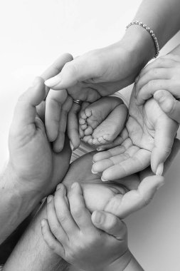 Bacaklar, ayak parmakları, ayaklar ve yeni doğmuş bir bebeğin topukları. Anne babanın elleriyle, baba, anne çocuğun bacaklarını nazikçe tutuyor. Makro fotoğrafçılık, yakın çekim. Siyah beyaz fotoğraf. Yüksek kalite fotoğraf.