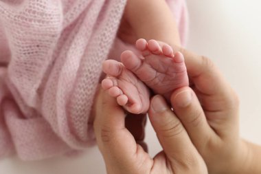 The palms of the father, the mother are holding the foot of the newborn baby in a pink blanket. Feet of the newborn on the palms of the parents. Photography of a childs toes, heels and feet