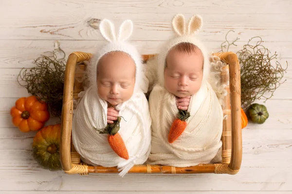 Tiny Newborn Twins Boys White Cocoons Wooden Basket Light Wood Stockfoto