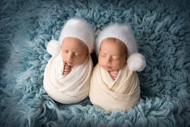 Tiny newborn twin boys in white cocoons on a blue background in white caps. Studio professional photography of newborn twins. High quality photo