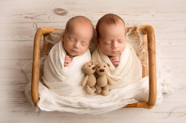 Tiny newborn twin boys in white cocoons in a wooden basket with bear toys. A newborn twins boy sleeps next to his brother. Professional studio portrait photography. Against a background of light wood