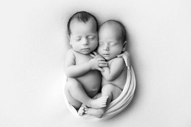 Beyaz arka planda beyaz kozalı minik ikizler. Yeni doğmuş bir ikiz kardeşi ile birlikte uyur. Yeni doğmuş iki ikiz erkek birbirine sarılıyor. Profesyonel fotoğraf stüdyosu. Siyah ve beyaz