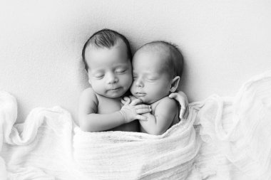 Beyaz arka planda beyaz kozalı minik ikizler. Yeni doğmuş bir ikiz kardeşi ile birlikte uyur. Yeni doğmuş iki ikiz erkek birbirine sarılıyor. Profesyonel fotoğraf stüdyosu. Siyah ve beyaz