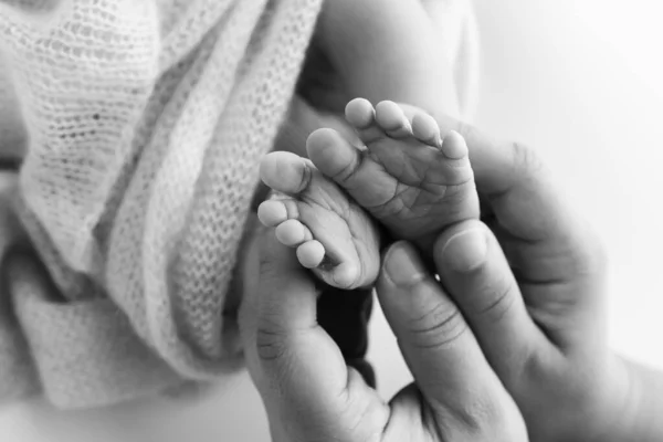 Childrens Foot Hands Mother Father Parents Feet Tiny Newborn Close Rechtenvrije Stockafbeeldingen