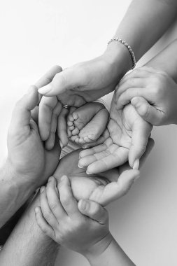 Bacaklar, ayak parmakları, ayaklar ve yeni doğmuş bir bebeğin topukları. Anne babanın elleriyle, baba, anne çocuğun bacaklarını nazikçe tutuyor. Makro fotoğrafçılık, yakın çekim. Siyah beyaz fotoğraf. Yüksek kalite fotoğraf.
