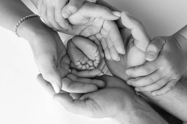 Bacaklar, ayak parmakları, ayaklar ve yeni doğmuş bir bebeğin topukları. Anne babanın elleriyle, baba, anne çocuğun bacaklarını nazikçe tutuyor. Makro fotoğrafçılık, yakın çekim. Siyah beyaz fotoğraf. Yüksek kalite fotoğraf.