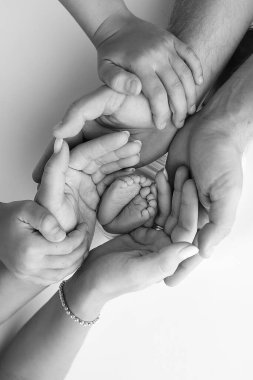 Bacaklar, ayak parmakları, ayaklar ve yeni doğmuş bir bebeğin topukları. Anne babanın elleriyle, baba, anne çocuğun bacaklarını nazikçe tutuyor. Makro fotoğrafçılık, yakın çekim. Siyah beyaz fotoğraf. Yüksek kalite fotoğraf.