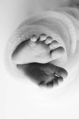 Yeni doğmuş bir bebeğin küçük ayağı. Battaniyenin içinde yeni doğmuş bir bebeğin yumuşak ayakları. Ayak parmaklarını, topuklarını ve yeni doğmuş bir bebeğin ayaklarını kapat. Siyah ve beyaz dikey Makro fotoğrafçılık.